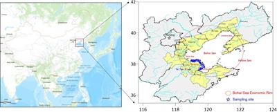Long-term investigation of spatial–temporal variations, risk assessments, and controlling factors of persistent organic pollutants (HCHs, DDTs, and PAHs) and heavy metals in coastal regions along the Chinese Bohai Sea